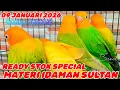 Lagu MATERI SULTAN READY STOK✓09 JANUARI 2026✓ WARNA KELAS ATAS