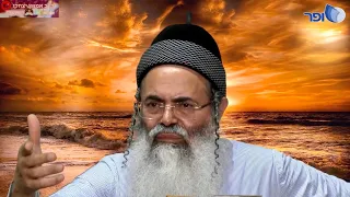 ״המדינה הזאת לא שייכת ליהודים, היא שייכת לאדום!״ | הרב אמנון יצחק שליט״א!