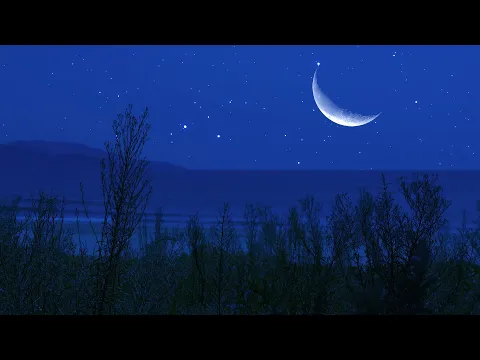 Crickets at the Beach | Binaural Nighttime Ambience | Nature Sounds for Relaxation & Sleep