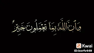 جمال وروعه لا توصف مشاء الله صوت ملائكي بنبره حزينه حالات واتس قران كريم 