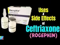 Ceftriaxone Rocephin - Side Effects Uses Mechanism of Action Dosage Interactions Warnings