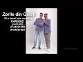 Download Lagu Zorile din Galati - Si-a lasat tata mustata ( parodie )