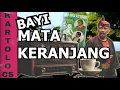 Lagu 🔥 KARTOLO DADI BAYI MATA KERANJANG! Tobyiatt - Ludruk Dagelan Jula juli Kartolo CS x Karjo AC/DC