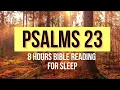PSALM 23 8 HR REPEAT BIBLE VERSES FOR SLEEP AND ENCOURAGEMENT