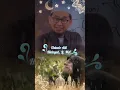 Download Lagu Allah berikan ketenangan untuk orang yang Hatinya lapang - Ceramah Ust Adi Hidayat