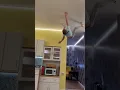 Download Lagu BIT BY SPIDER!! Can Walk On Walls🕷😱 #short #shorts #funny