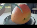 POV You Have Long Nails and Need to Cut a Mango