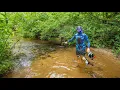Snorkeling With a Snapping Turtle Covered in Leeches