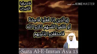   والذين إذا فعلوا  فاحشة أو ظلموا أنفسهم         بصوت الشيخ ياسر الدوسري دندنها