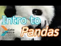 DS3 UCSD FA20 Workshop Intro to Pandas