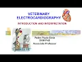 Intro to ECGs in veterinary medicine by Dr Diniz