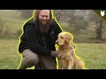 How To Turn AWFUL Recall Into PERFECT Recall Training With Your Dog
