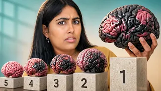 5 Daily Habits Destroying Your Brain Health and Memory (Most People Do All 5)