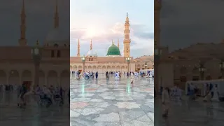 السماني أحمد عالم   يا زوار قبر محمد دندنها