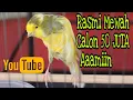 Download Lagu CALON 50 JUTA KENARI RASMI si GIMBAL INI . AAMIIN 😇