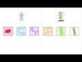 GCSE Biology - Differentiation and Specialised Cells (2026/27 exams)