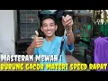 Download Lagu DAPAT MURAH JUAL MURAH ! HASIL NYEROK BURUNG GACORAN MATERI SPEED RAPAT MAS BROO