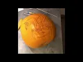 Horse Pumpkin Timelapse