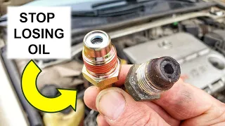 Lexus Burning Oil Try This First LEXUS es300