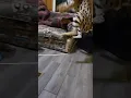 Download Lagu For more: https://youtube.com/playlist?list=PLOGO9k4ocYy0m7o2Nd3cRKJmd8y7pcefh\u0026si=Hav3bkZ6fp94LISy