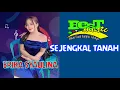 Download Lagu ERIKA SYAULINA  //  SEJENGKAL TANAH // IRFAN MANSUR