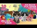 Download Lagu Kucingku Tiga Gemuk, Kupu Kupu Sayap Cantik, dan Lagu Lainnya - 30 Menit Kompilasi Lagu Anak