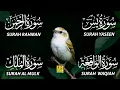 Lagu The Best Recitation Surah Yaseen (Yasin) | Surah Rahman | Surah Waqiah | Surah Mulk EP115