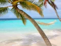 Download Lagu Dj Next - Summer Hit 2010 (Electro House )