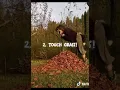 How to be a Therian Full Tutorial
