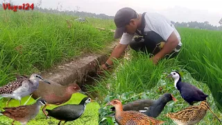 Download Saya Akan Mengajak Kawan Semua Cara Mancing Belut Dan Cara Menangkap Burung Sawah | Part 124 MP3