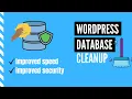 Wordpress Database Optimization for Ultra Fast Website
