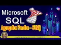 SQL Group by Clause Aggregation Function SUM Microsoft SQL Server Sekharmetla Harisystems