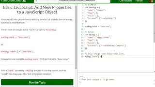 Basic JavaScript Add New Properties to a JavaScript Object free code camp Dani