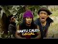Lagu HANTU CALEG GAGAL