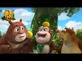 熊熊乐园1 | EP10-12 | 合集 | Boonie Cubs | Compilation | Cartoon for kids