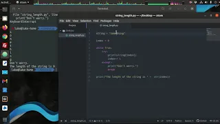 Python 3 - Make a Function to Find String Lengths
