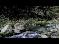 Odesza - Sun Models Feat. Madelyn Grant [Unofficial Music Video]