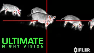 Download DBTS: Death By Thermal Scope Linked to Rising Mortality Rates For Feral Hogs MP3