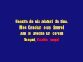 romanian karaoke andre   noapte de vis