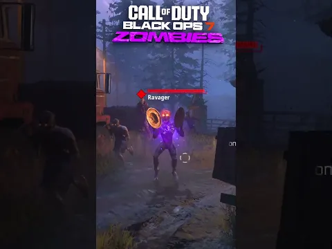 WHAT AM I LOOKING AT?!