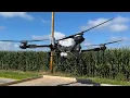 Download Lagu Corn Flattened by Wind—Can a Spray Drone Save the Crop?