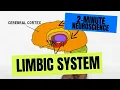 2-Minute Neuroscience Limbic System