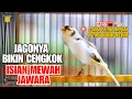 Download Lagu KENARI GACOR PANJANG FULL ISIAN Roll Rapat EMOSI Cuit-Cuit Pancingan Kenari Paud belajar bunyi GACOR