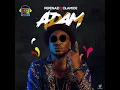 Adam (feat. Olamide)