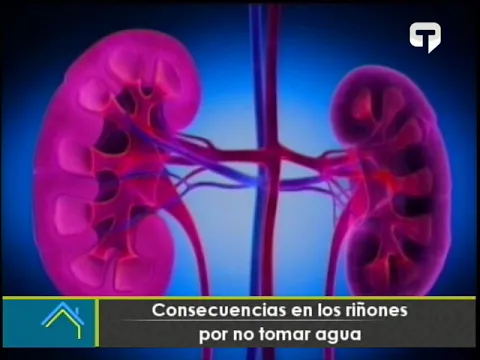 Consecuencias en los riñones por no tomar agua