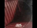 The End Of A Love Affair - Cedar Wright