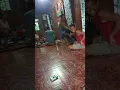 Download Lagu ritual ngasih makan leluhur adat dayak dusun witu desa kalahien barito selatan kalimantan tengah