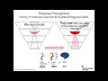 4 Regulate Relate Reason Sequence of Engagement Neurosequential Network Stress Trauma Series