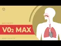 What is VO2 Max VO2 Max Explained Sports Science How To Improve Your VO2 Max Fitpage