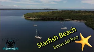 Starfish Beach, Bocas del Toro Ep 68